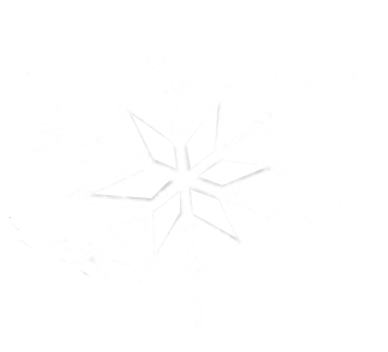 sn-container-vist-snow